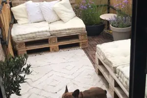 Appartement Te Koop Beerse