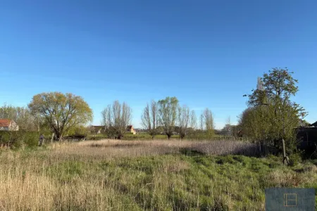 Grond Te Koop Maldegem