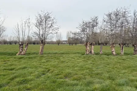 Grond Te Koop Sijsele
