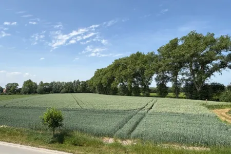 Huis Te Koop Lapscheure