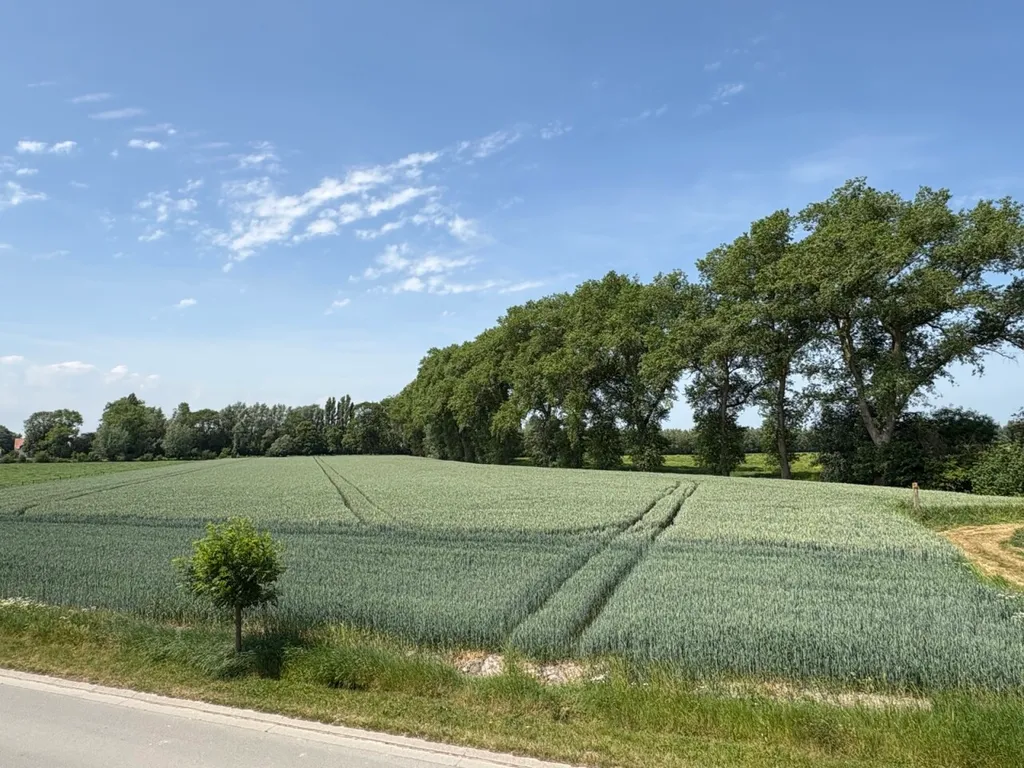 Hoofdfoto Huis in Lapscheure