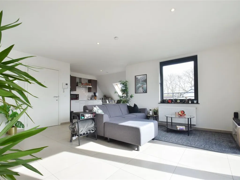 Hoofdfoto Huis in Bornem