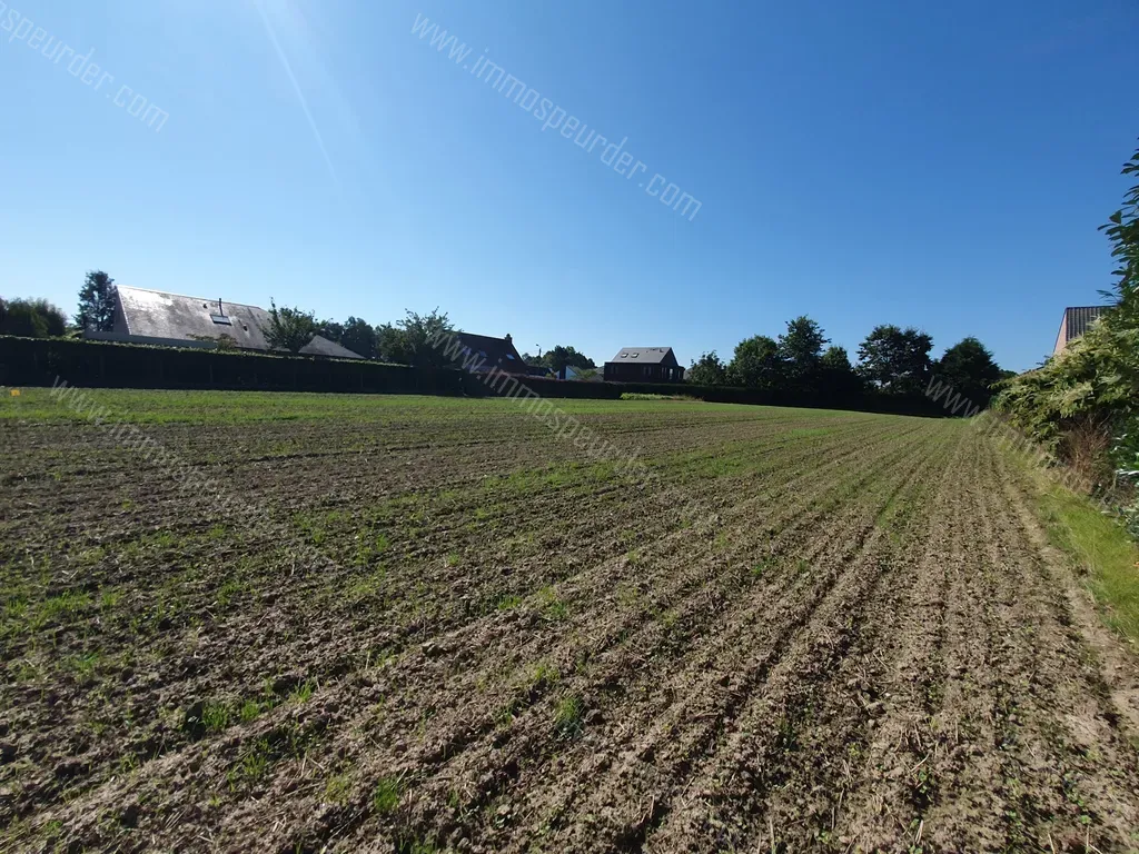 Terrain in Humbeek - 1319052 - Lusweg 17, 1851 Humbeek