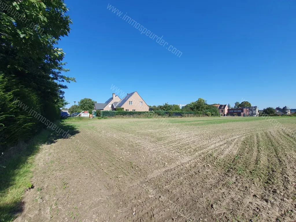 Terrain in Humbeek - 1319052 - Lusweg 17, 1851 Humbeek