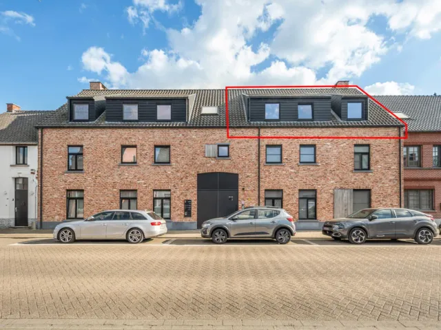 Appartement in Herenthout - Jodenstraat 89, 2270