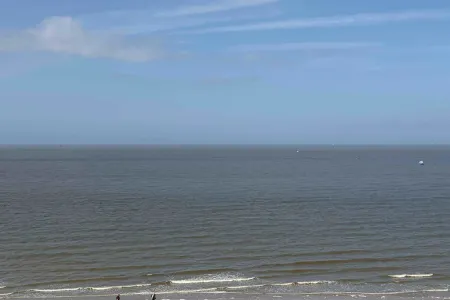 Appartement Te Koop Blankenberge