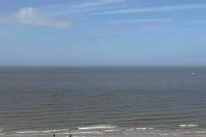 Appartement Te Koop Blankenberge