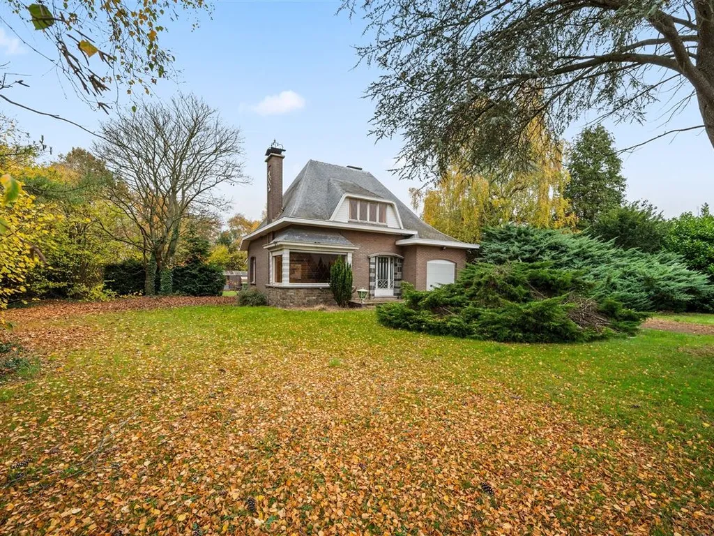 Hoofdfoto Huis in Putte