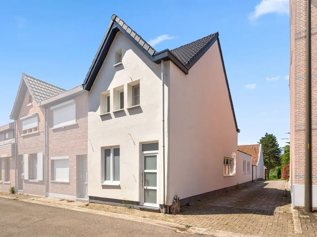 Hoofdfoto Huis in Walem