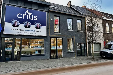 Appartement Te Huur Oudenaarde