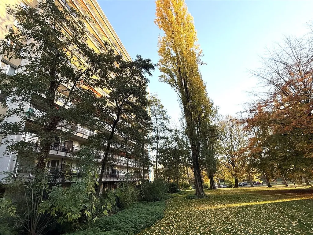 Hoofdfoto Huis in Anderlecht
