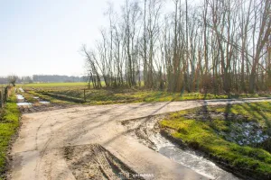 Grond Te Koop Baardegem