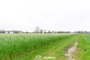 Grond Te Koop Baardegem