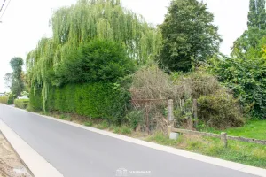 Grond Te Koop Dilbeek