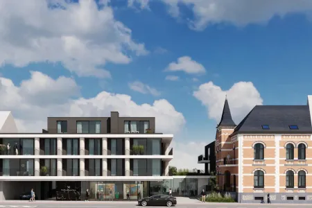 Villa Te Koop Asse