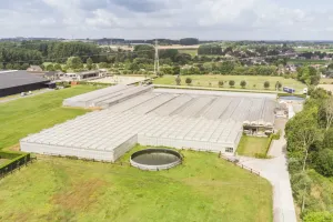 Industrieel Te Huur Wambeek