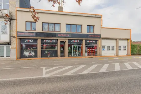 Huis Te Koop Vilvoorde