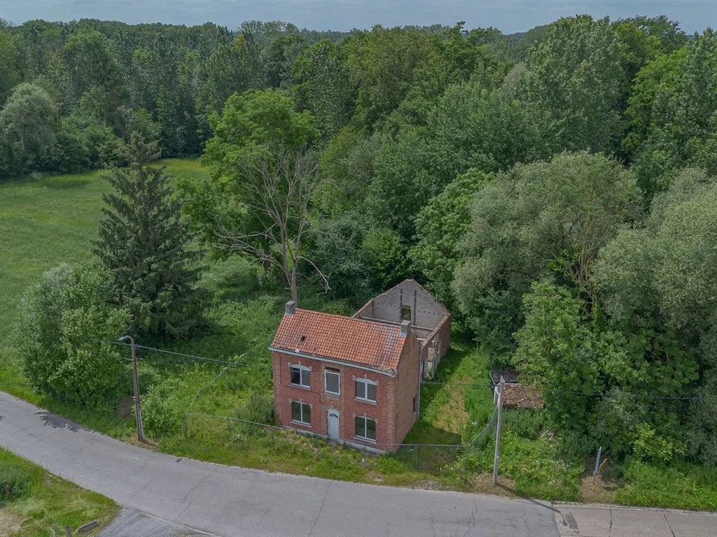 Hoofdfoto Huis in Grimbergen