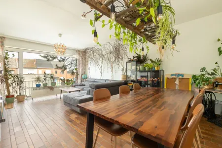 Appartement Te Koop Lebbeke