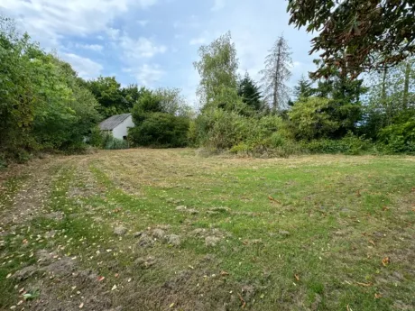 Maison à Herselt - Provinciebaan 90, 2230 - photo 6