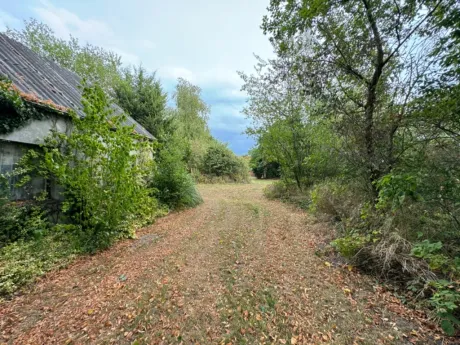 Maison à Herselt - Provinciebaan 90, 2230 - photo 7