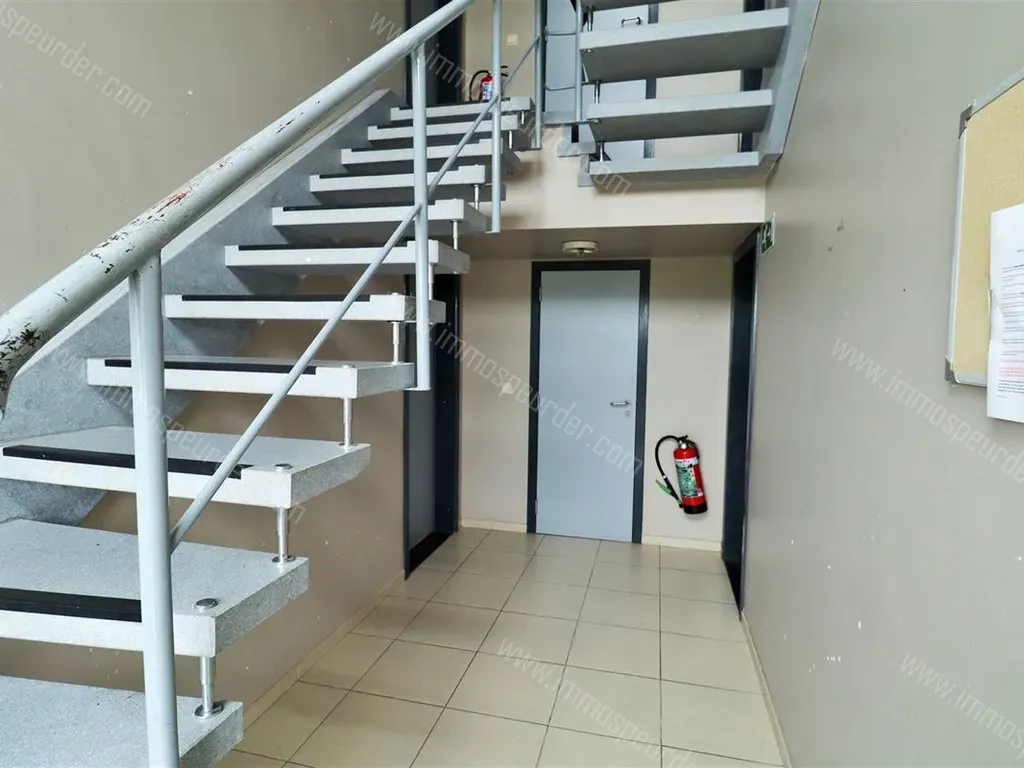 Appartement in Mettet - 1439672 - Rue du Gros Chêne 31, 5640 METTET