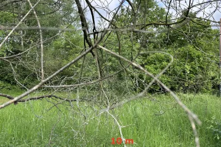 GrondBrasschaat