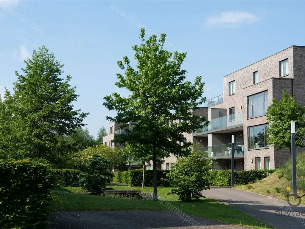 Wervehof 9 2110 Wijnegem 1173688 ImmoSpeurder