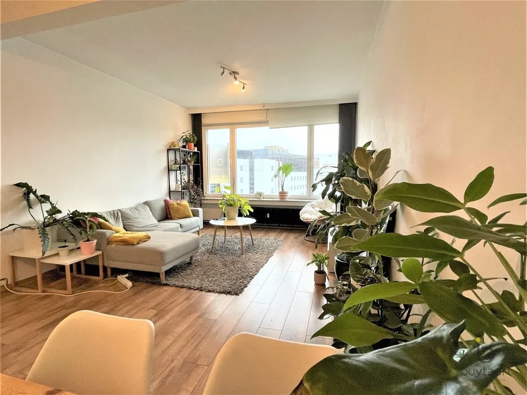 Hoofdfoto Appartement in Antwerpen
