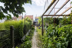Huis Te Koop Evergem