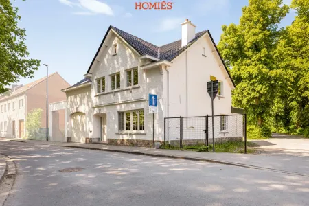 Maison À vendre Wijgmaal