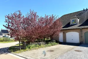 Huis Te Koop Astene