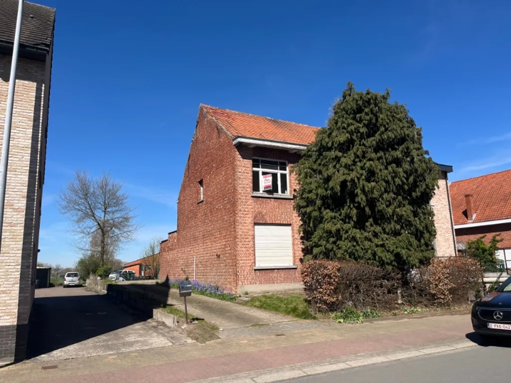 Hoofdfoto Huis in Temse