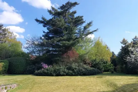 Huis Te Koop Uccle