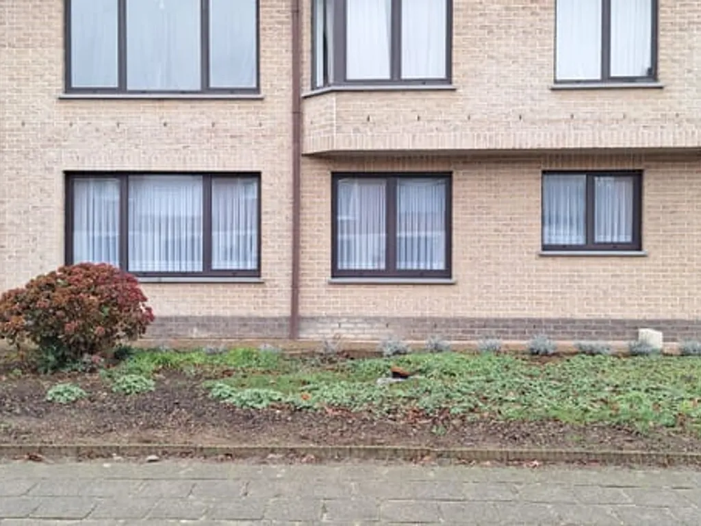 Appartement in Wommelgem - 7672243 - Lievevrouwestraat 68, 2160 Wommelgem