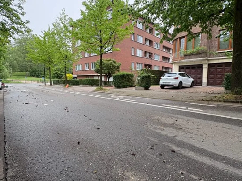 Appartement in Jette - 7676552 - Dikke-Beuklaan 18, 1090 Jette