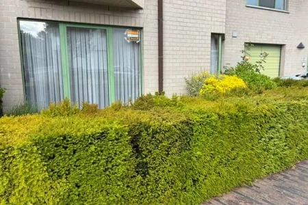Appartement Te Huur Kluisbergen