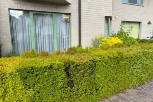 Verhuurd Kluisbergen