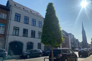 HuisLier