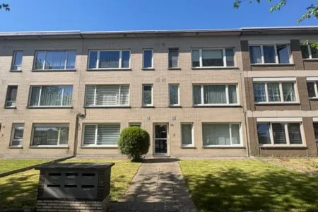 Appartement Te Huur Wommelgem