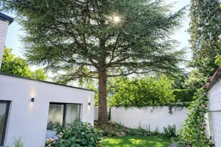 Huis Te Koop Antwerpen