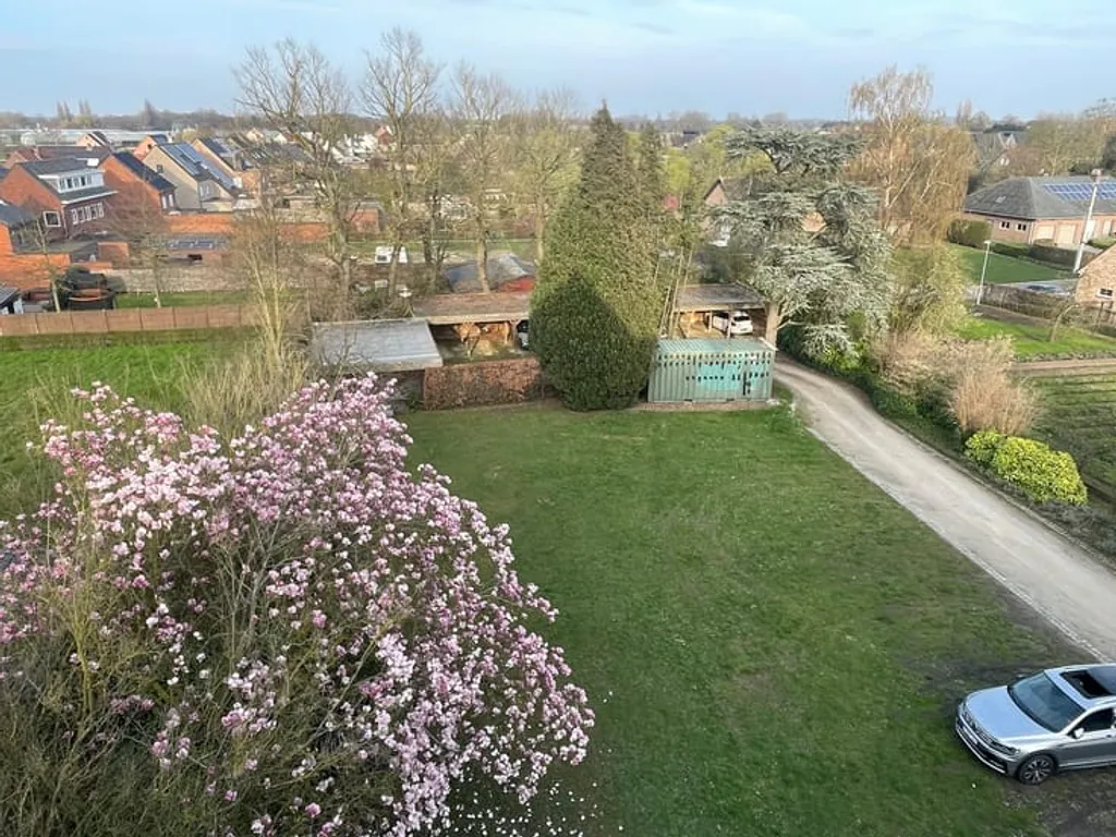 Appartement in Sint-Katelijne-Waver - 7696121 - Bosstraat 20, 2861 Sint-Katelijne-Waver