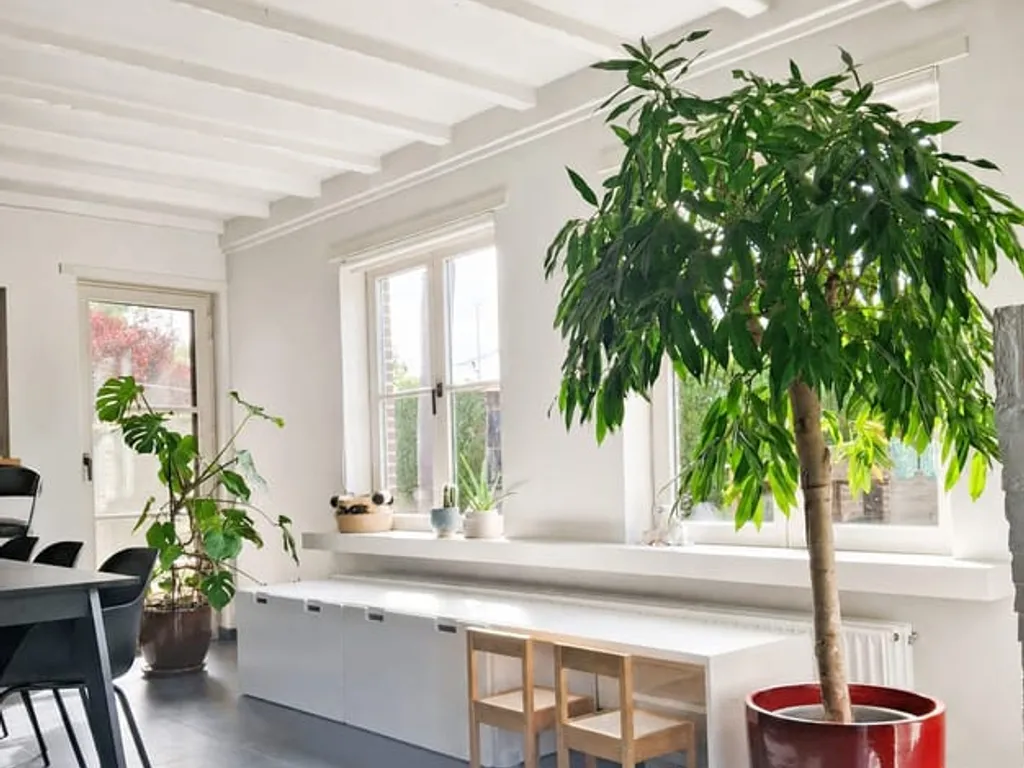 Hoofdfoto Huis in Heusden