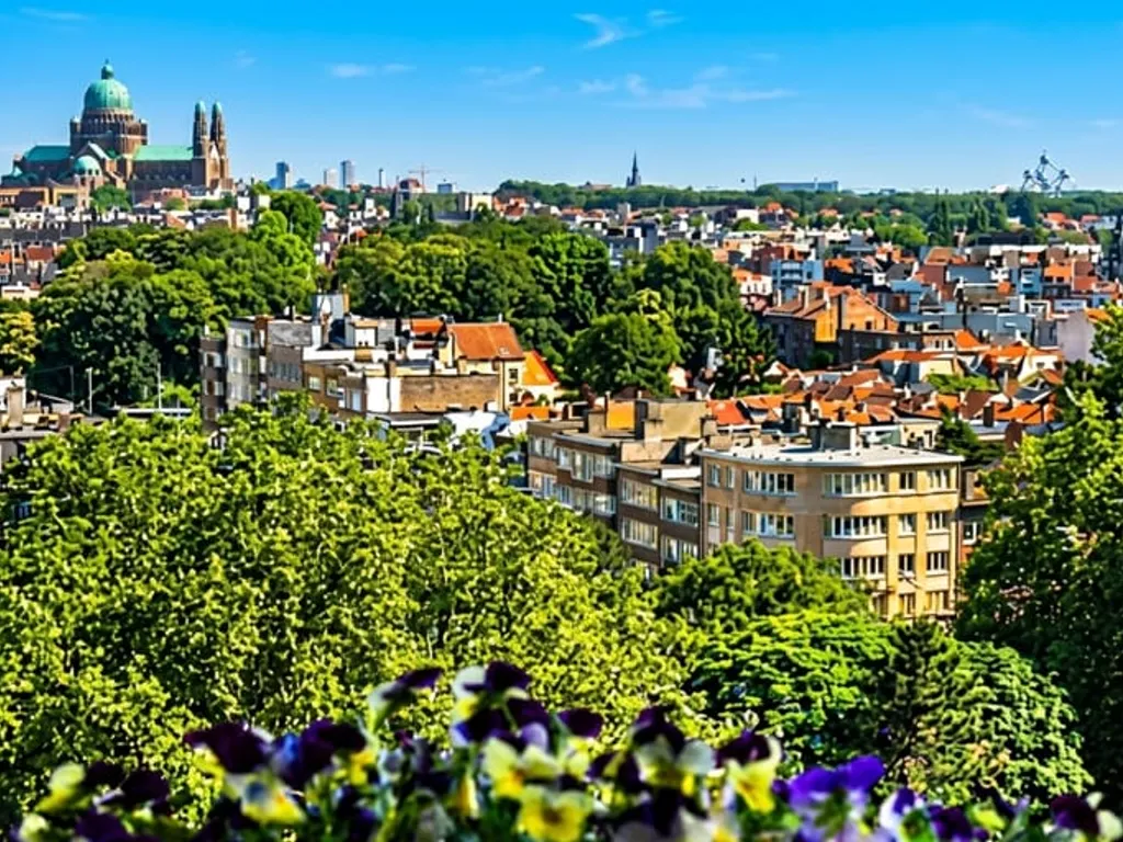 Hoofdfoto Appartement in Molenbeek