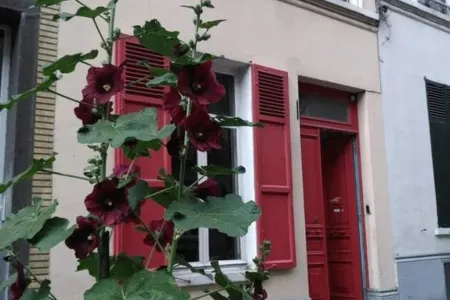 Huis Te Koop Schaarbeek