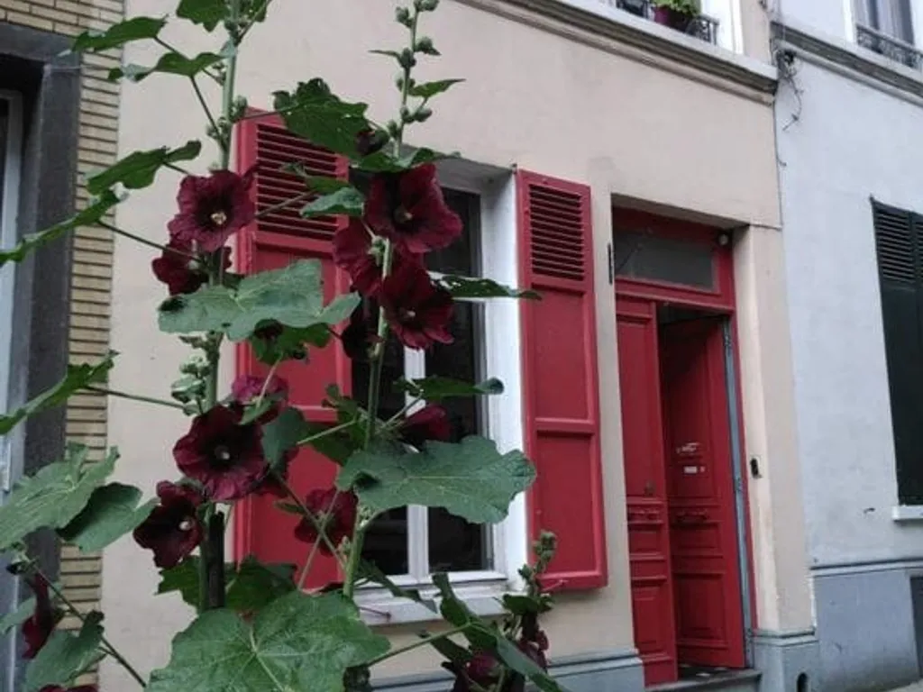 Hoofdfoto Huis in Schaarbeek