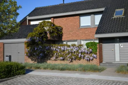 HuisBekegem