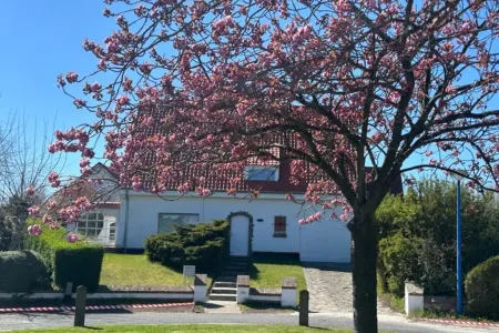 Huis Te Huur Koksijde