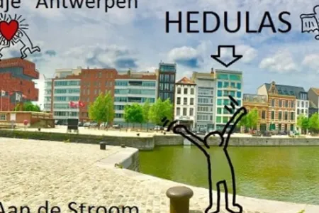 Appartement Te Huur Anvers