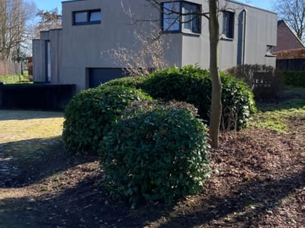 Hoofdfoto Huis in Sint-Niklaas